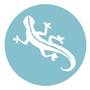 Lizard consulting & technology