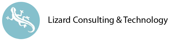Lizard consulting & technology